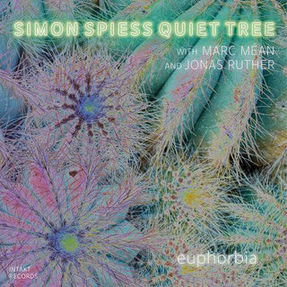 Simon Spiess Quiet Tree- Euphorbia