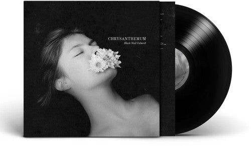 Black Nail Cabaret- Chrysanthemum (PREORDER)