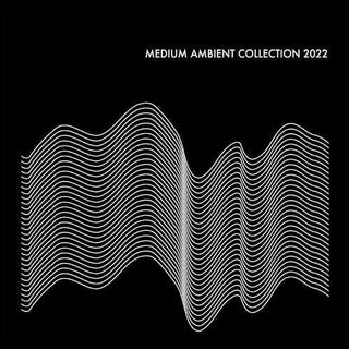 Various Artists- Medium Ambient Collection 2022 Black / Various (Vinyl)