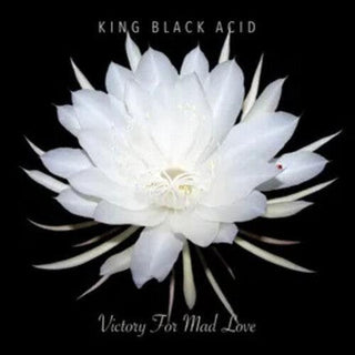 King Black Acid- Victory For Mad Love -RSD24 (Vinyl)