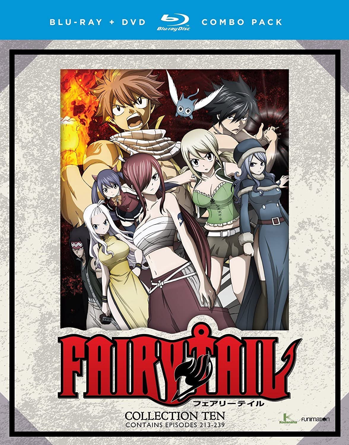 Fairy Tail Collection Ten