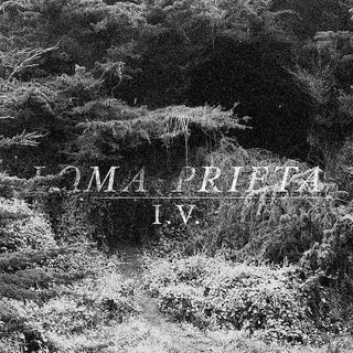 Loma Prieta- I.V.