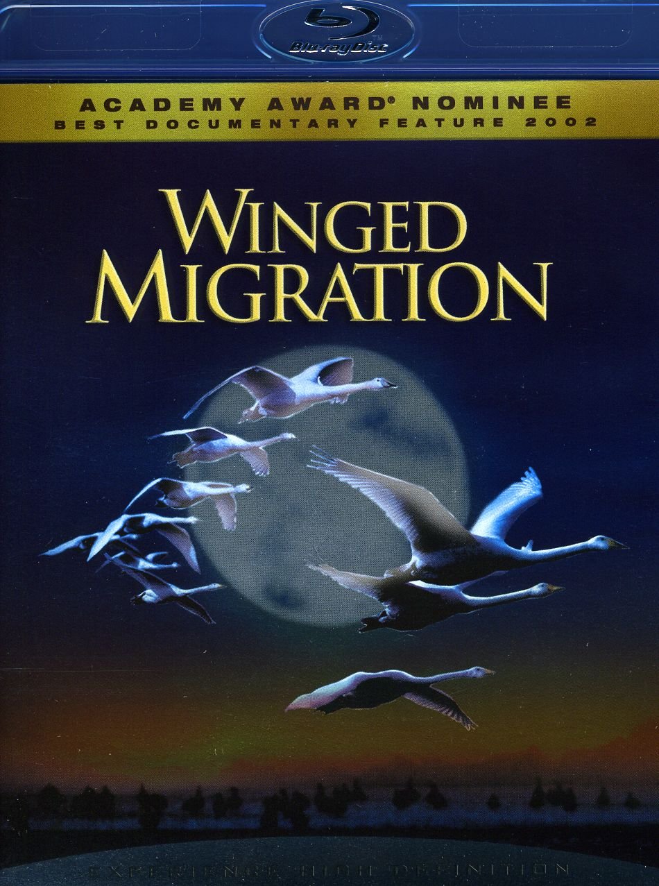 Winged Migration