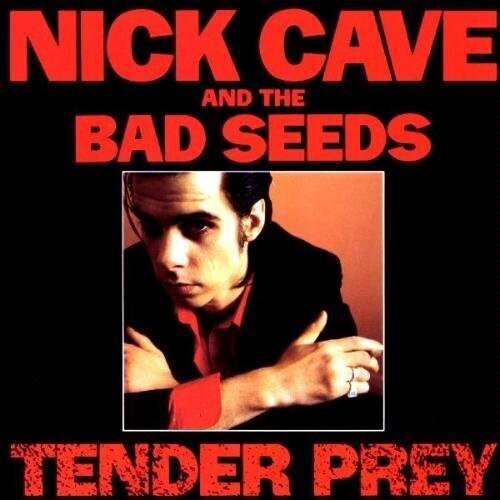 Nick Cave- Tender Prey - Darkside Records
