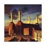 Pink Floyd- Animals - DarksideRecords