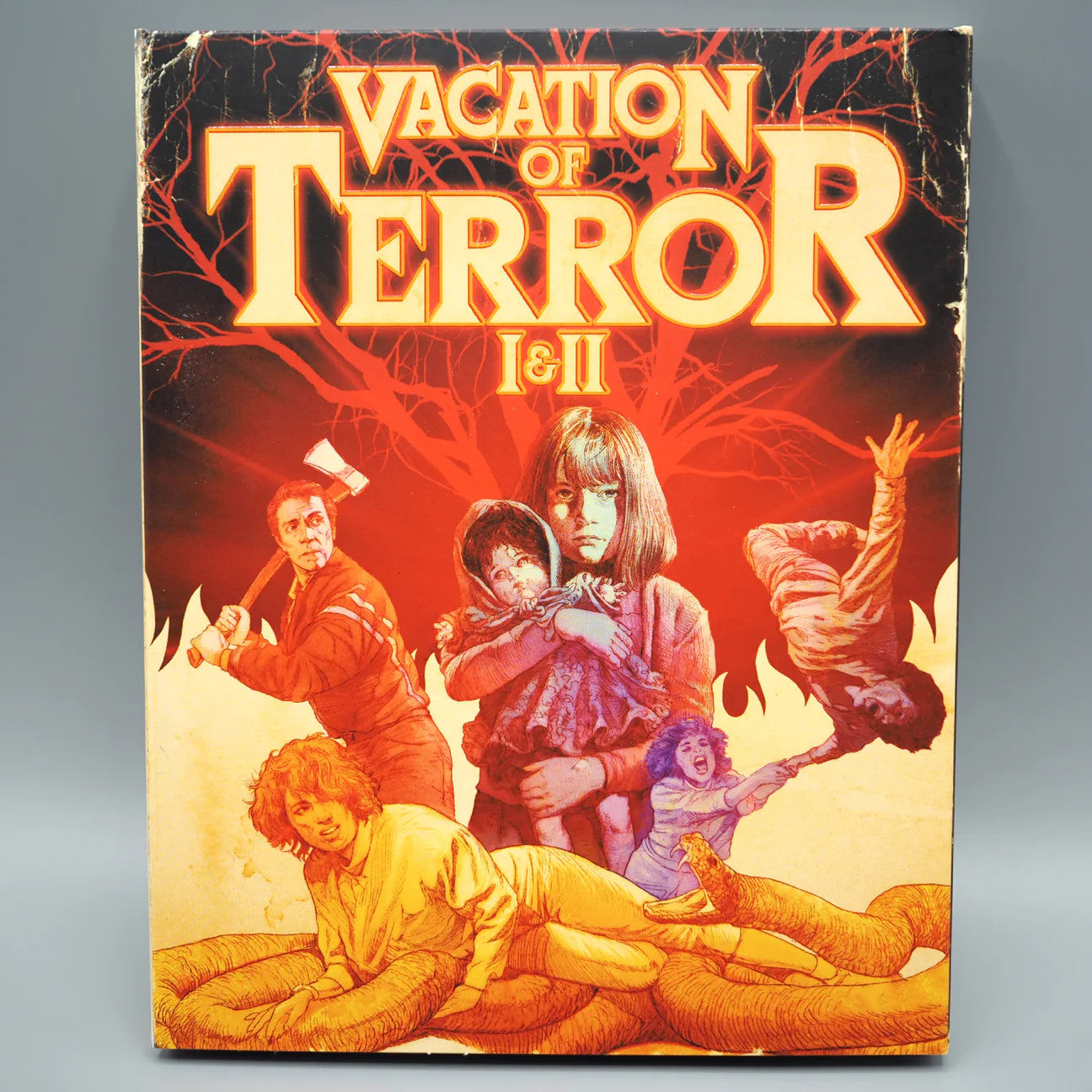 Vacation Of Terror I & II (SLIPCOVER)