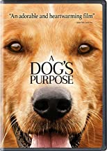 A Dog's Purpose - Darkside Records