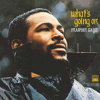 Marvin Gaye- What's Going On - Darkside Records