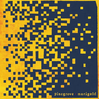Pinegrove- Marigold - Darkside Records