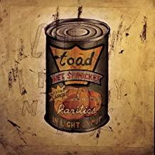 Toad The Wet Sprocket- In Light Syrup - DarksideRecords