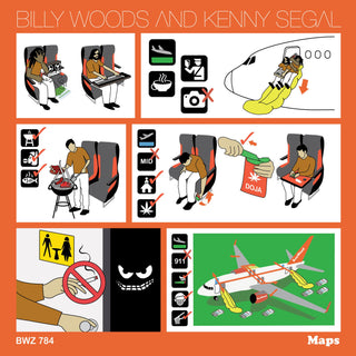 Billy Woods & Kenny Segal- Maps (PREORDER) - Darkside Records