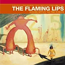Flaming Lips- Yoshimi Battles The Pink Robots - DarksideRecords