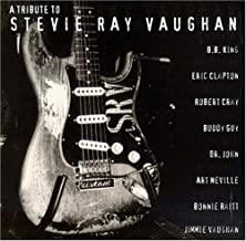 Various- A Tribute To Stevie Ray Vaughan - DarksideRecords