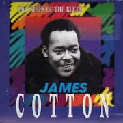 James Cottons- Two Sides Of The Blues