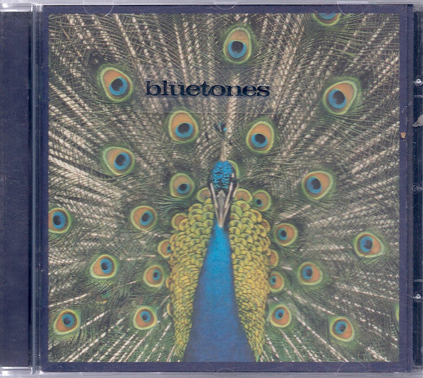 The Bluetones- Expecting To Fly - Darkside Records