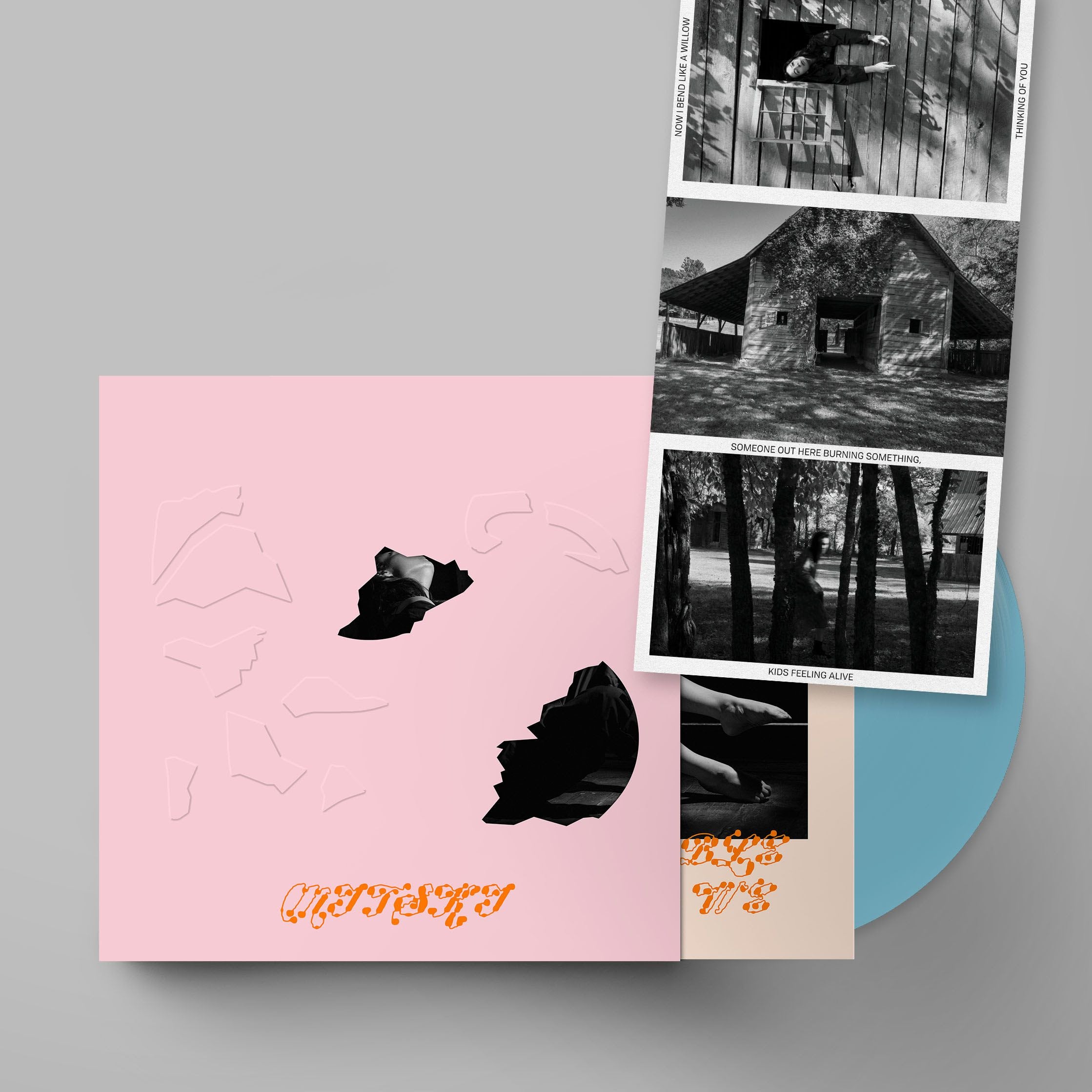 Mitski- The Land Is Inhospitable And So Are We (Indie Exclusive Robin Egg Blue Vinyl w/ Baby Pink Slipcase)