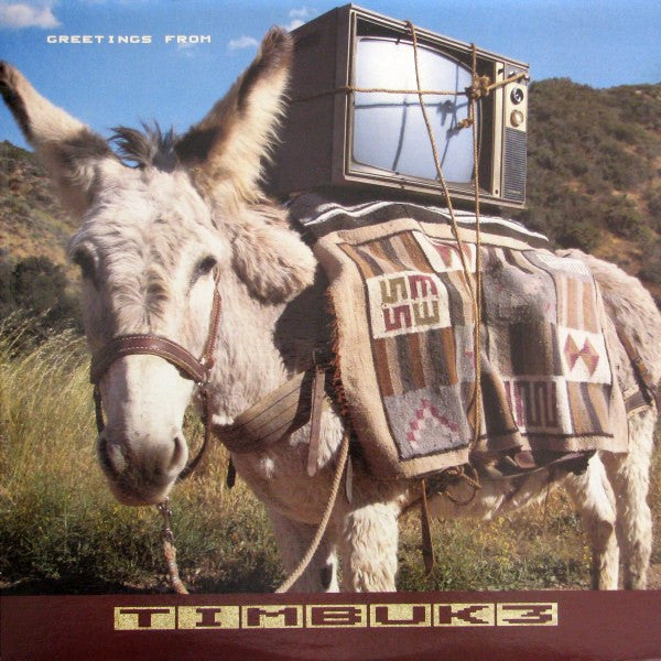 Timbuk 3- Greetings From Timbuk 3 - Darkside Records