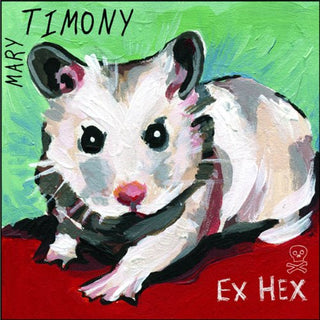 Mary Timony- Ex Hex - Darkside Records