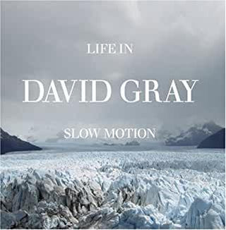 David Gray- Life In Slow Motion - DarksideRecords