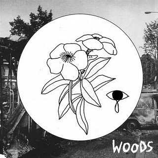 Kurt Vile/Woods- Summer 2011 Tour Split - Darkside Records