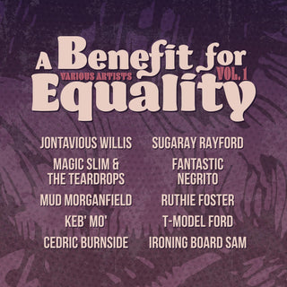 Various- Benefit For Equality 1 (Indie Exclusive) - Darkside Records