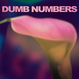 Dumb Numbers- Dumb Numbers (Pink/Purple) - Darkside Records