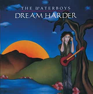 The Waterboys- Dream Harbor - Darkside Records
