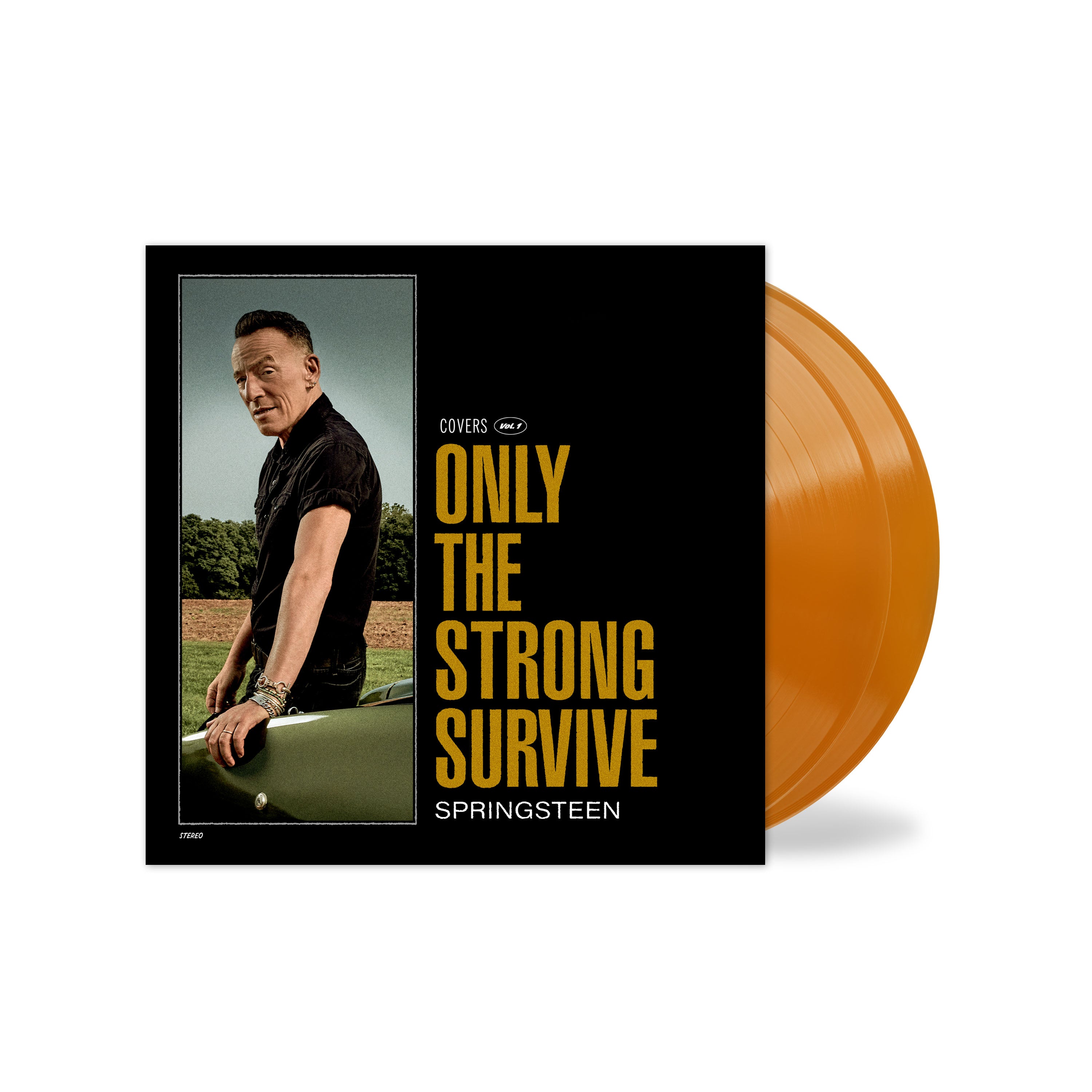 Bruce Springsteen- Only The Strong Survive (Indie Exclusive Orbit Orange Vinyl) - Darkside Records