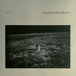 Bruit- Apologie Du Temps Perdu Vol. 1 (Gold Grey Splatter, Apologie Edition) - Darkside Records