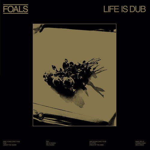 Foals- Life Is Dub -RSD23 - Darkside Records