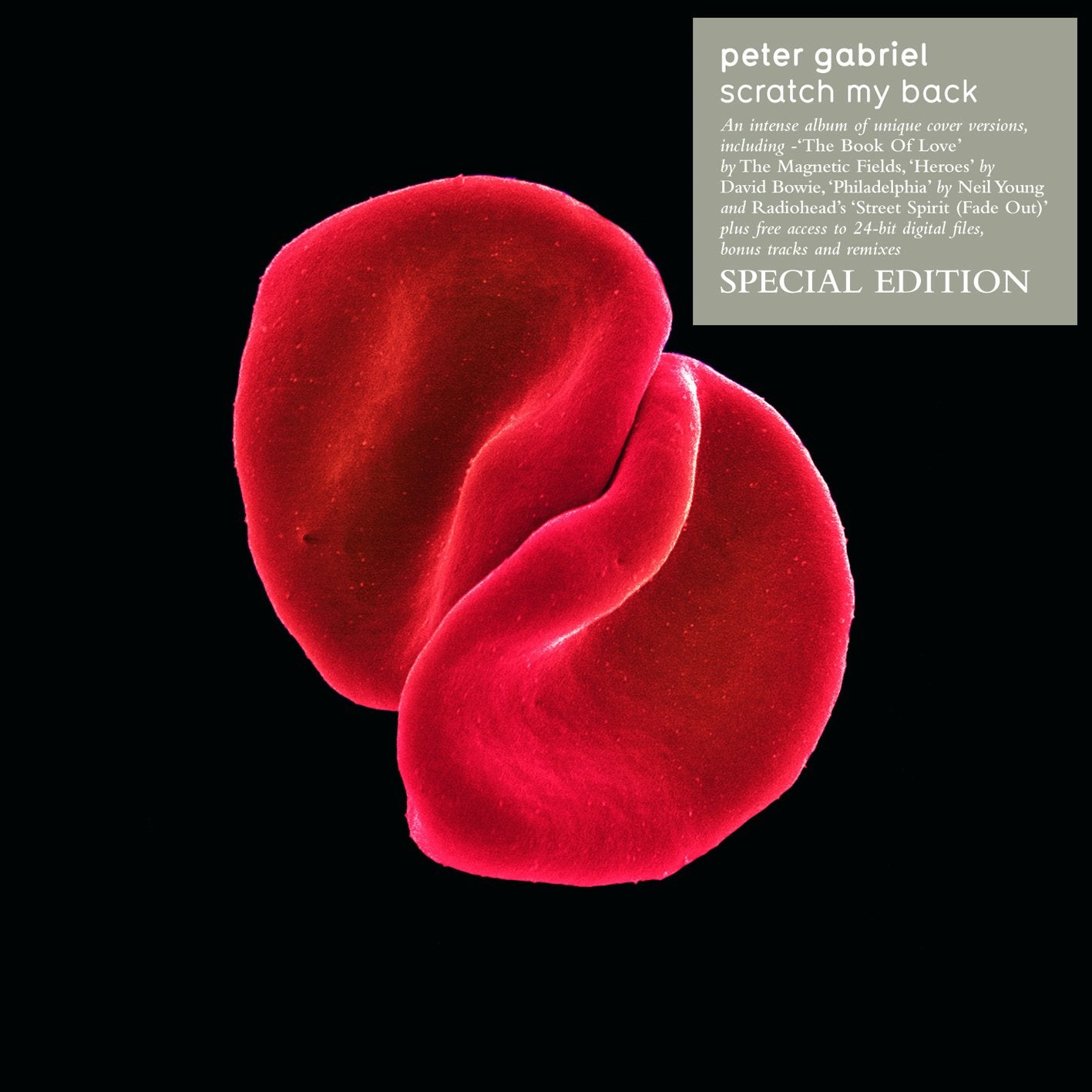 Peter Gabriel- Scratch My Back - Darkside Records