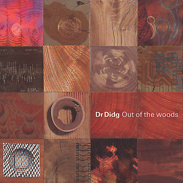 Dr Didg- Out Of The Woods