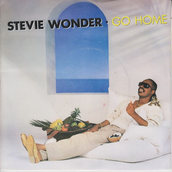 Stevie Wonder- Go Home - Darkside Records