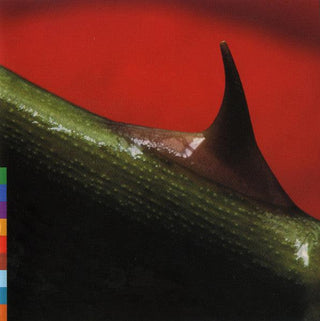 Nusrat Fateh Ali Khan & Michael Brook- Night Song - Darkside Records