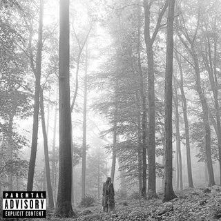 Taylor Swift- Folklore - Darkside Records