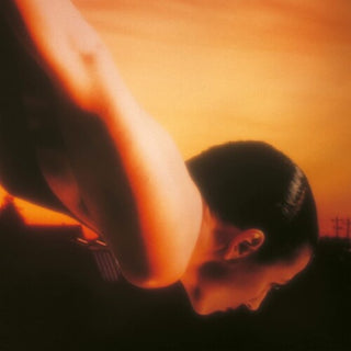 Porcupine Tree- On The Sunday Of Life - Darkside Records