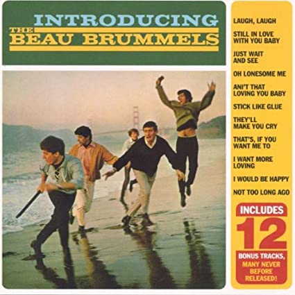 The Beau Brummels- Introducing - Darkside Records