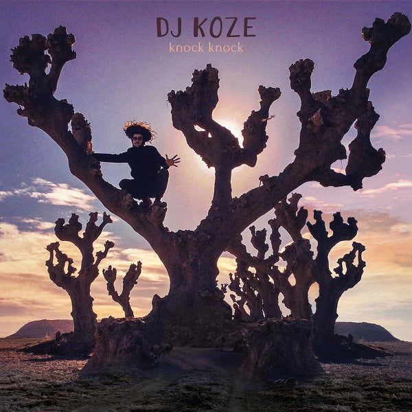 DJ Koze- Knock Knock (Purple)(VMP Pressing #368/500) - Darkside Records