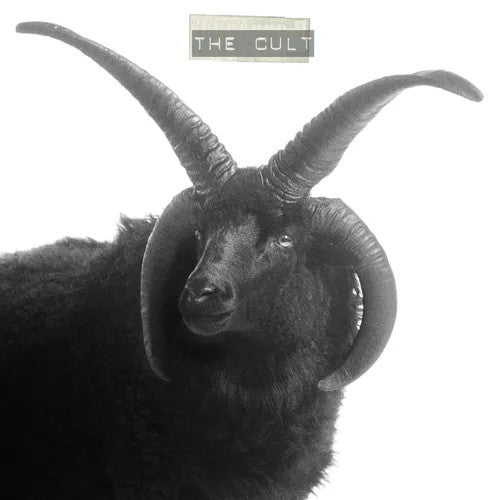 The Cult- The Cult (White Vinyl) (Indie Exclusive) - Darkside Records