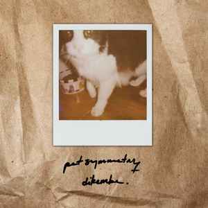 Pet Symmetry / Dikembe- Split - Darkside Records