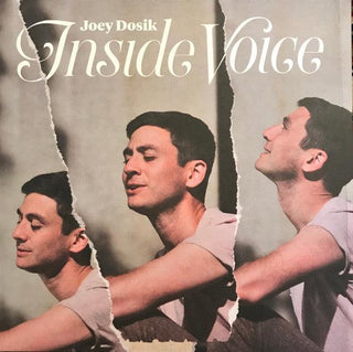 Joey Dosik (Vulfpeck)- Inside Voice - Darkside Records