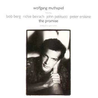 Wolfgang Muthspiel- The Promise - Darkside Records