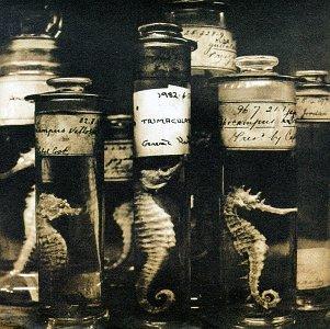 Various-Rare On The Air-Live From KCRW Vol. 2 - Darkside Records