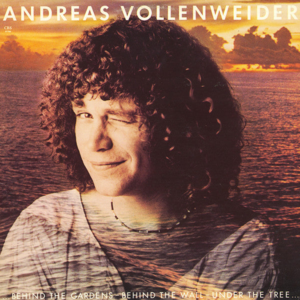 Andreas Vollenweider- Behind The Gardens... - DarksideRecords