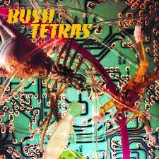 Bush Tetras- There Is a Hum/ Seven Years - Darkside Records