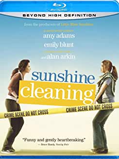Sunshine Cleaning - Darkside Records