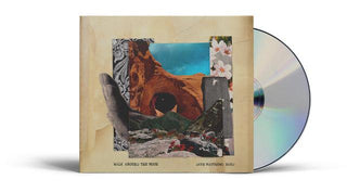 Dave Matthews Band- Walk Around The Moon (PREORDER) - Darkside Records