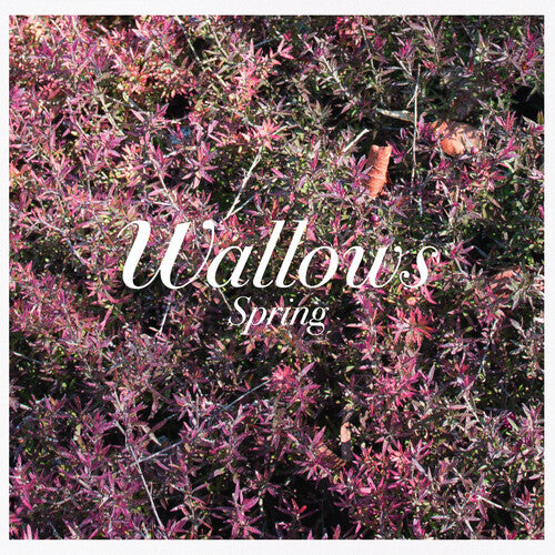 Wallows- Spring - Darkside Records