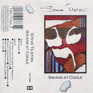 Steve Tilston- Swans At Coole - Darkside Records