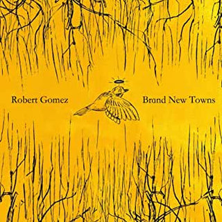 Robert Gomez- Brand New Towns - Darkside Records